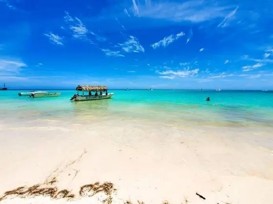 Beach Front Flor de Mar Los Corales Playa Bavaro - Oda