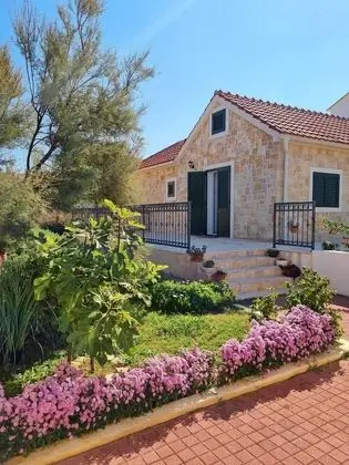 Beach House Calendula