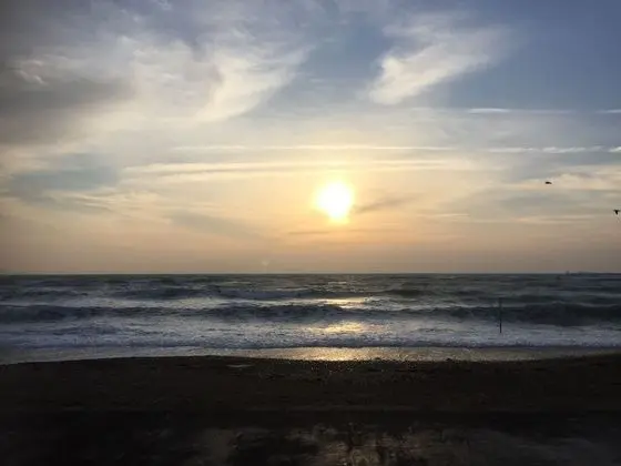 The Beach House