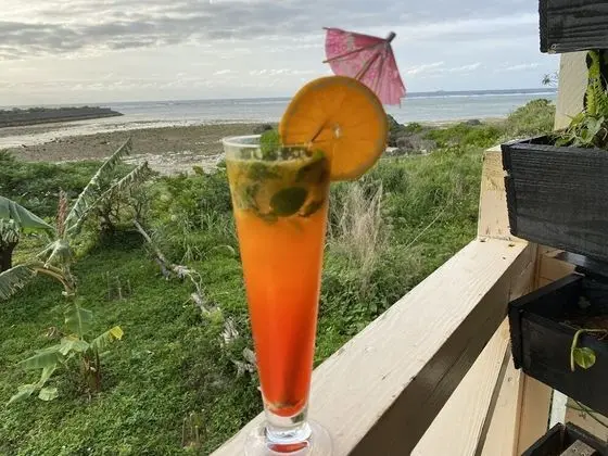Beach Lodge 1 & Private Beach - Plaj