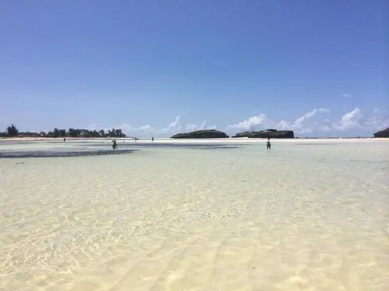 Beach Luxury Apartment On The Beach - Plaj