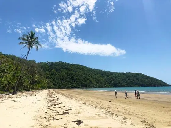 Villa Beach Palm Cove - Plaj