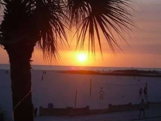 Beach Palms - Konum Öne Çıkanlar