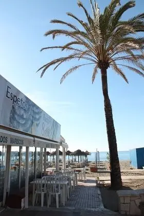 Beach Paradise Eco Friendly Apartment - Dış Mekan