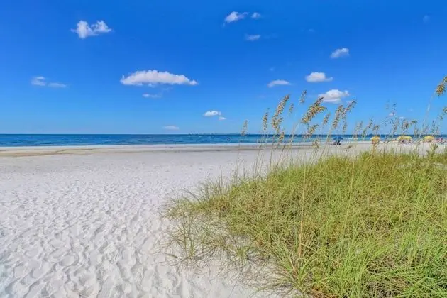 Beach & Tennis 2202 - Oda