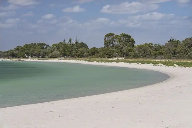 Beach & Trees - Plaj