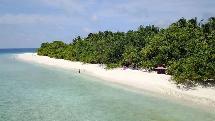 Beach Veli