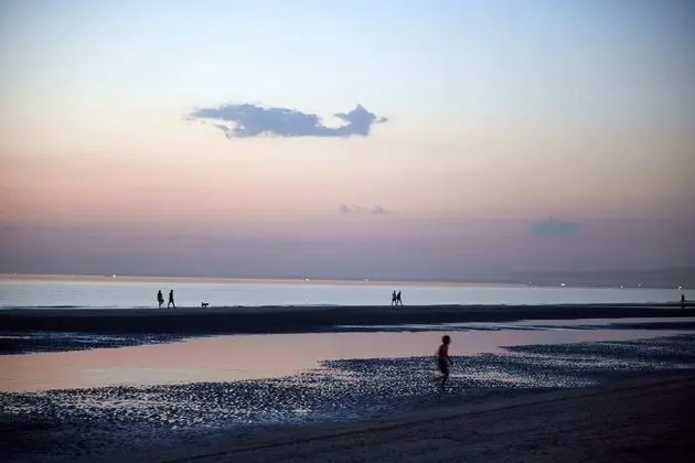 Beach Hotel Zandvoort BY Center Parcs - Plaj