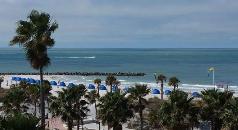 The Beachview Hotel - Genel