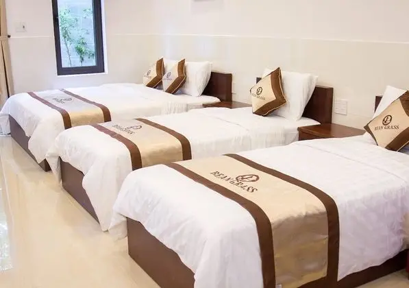Bean Grass Homestay - Oda