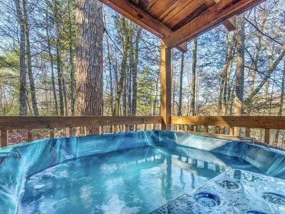 Bear Cave Haus by Jackson Mountain Homes - Havuz