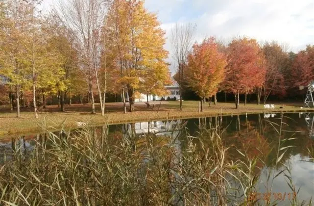 Bear Creek Farm B&B - Dış Mekan