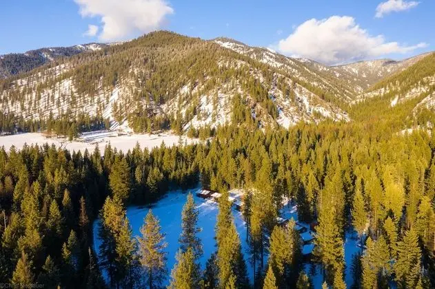 Bear creek resort - Dış Mekan