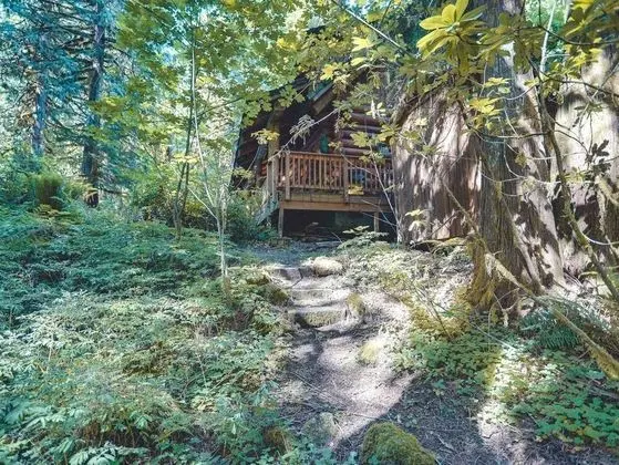 Bear Den Log Cabin - Dış Mekan