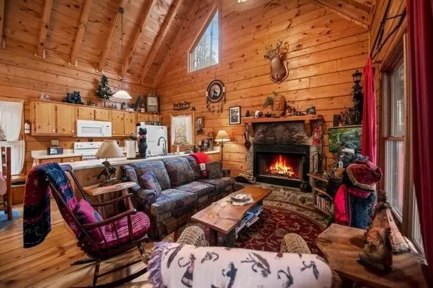 Bear Necessities-cozy Cabin Beside Briar Creek Fire pit Wifi and pet Friendly