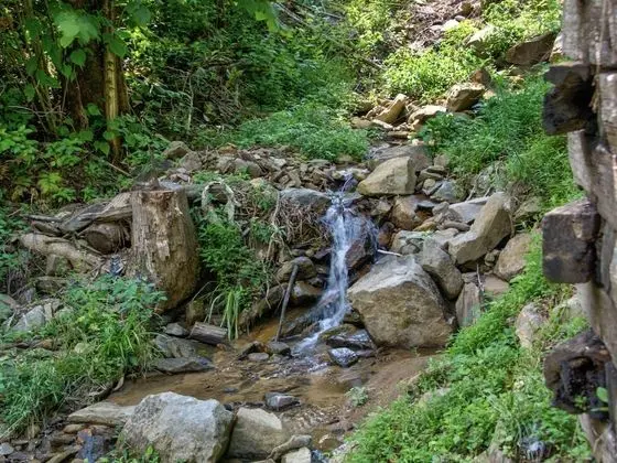 Bearly Hidden by Jackson Mountain Homes - Dış Mekan