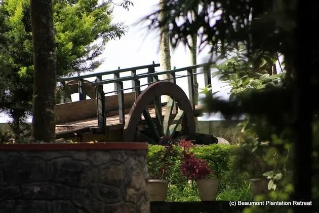 Beaumont Plantation Retreat
