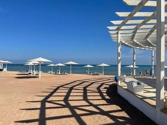 Beautiful 1-bed Apartment - Plaj