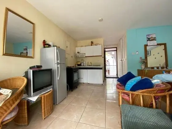 Beautiful 1-bed Beach Side Studio in Montego Bay - Oda Düzeni