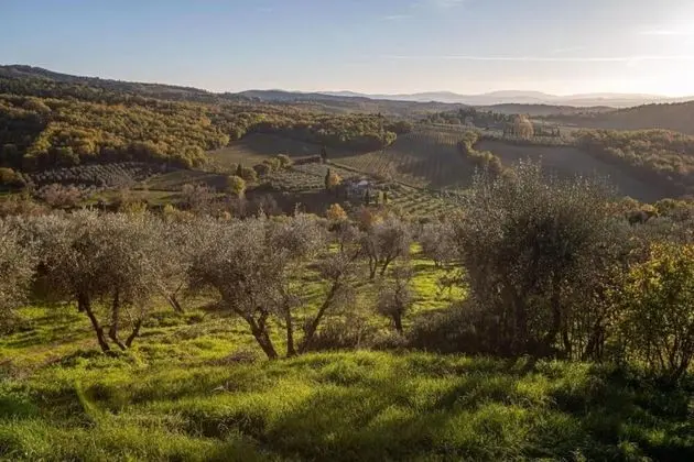 Beautiful Apartment in Chianti, Tuscany, Italy