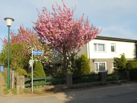 Beautiful Apartment in Kröpelin Near Sea