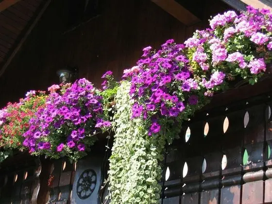 Beautiful Apartment in Pöhla Saxony Near Ski Area - İç Mekan