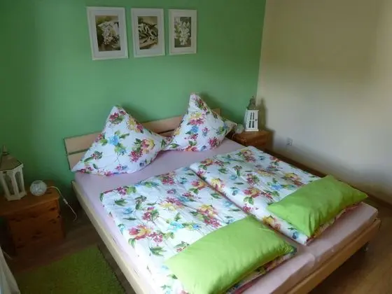 Beautiful Apartment in Pöhla Saxony Near Ski Area - Oda