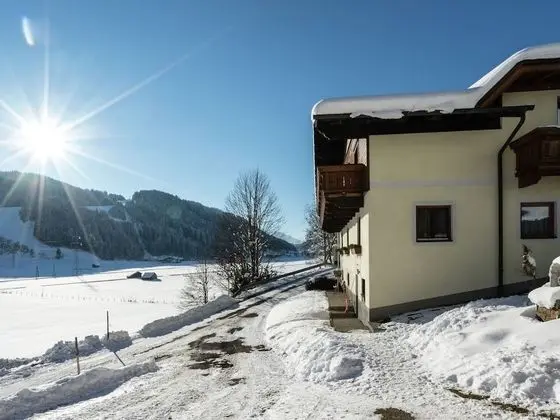 Beautiful Apartment in Wagrain Near Ski Area