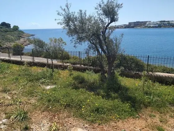 Beautiful Beach House At Sounio - Dış Mekan