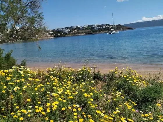 Beautiful Beach House At Sounio - Plaj