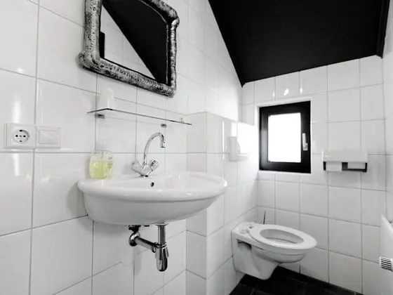 Beautiful Country House in Asten Near the Lake - Banyo Tipleri