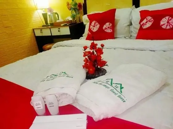 Beautiful Deluxe Room With Ac and Wifi Well Located in Bogor - Öne Çıkan Resim