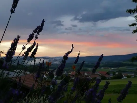 Beautiful Ground Floor Flat With Private Terrace in the Bavarian Forest - Havuz