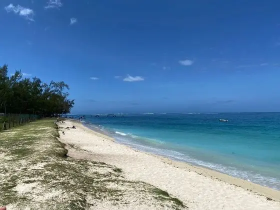 Beautiful House With Private Pool in Mauritius - Plaj