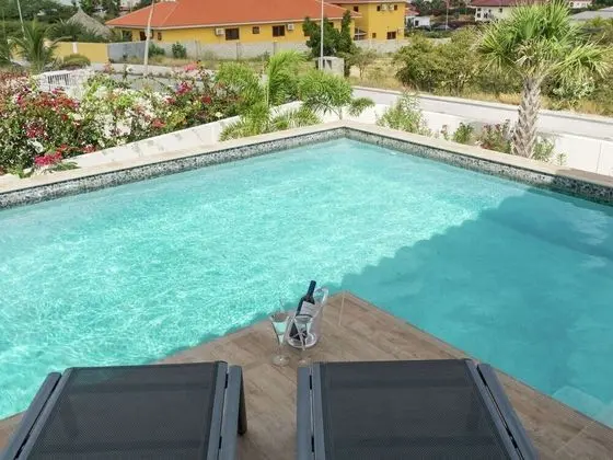 Beautiful Villa in Jan Thiel Near Beach - Havuz