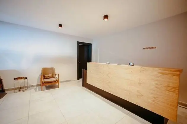 Beautiful Loft in Ski Resort in Gaudari, Georgia - İç Mekan
