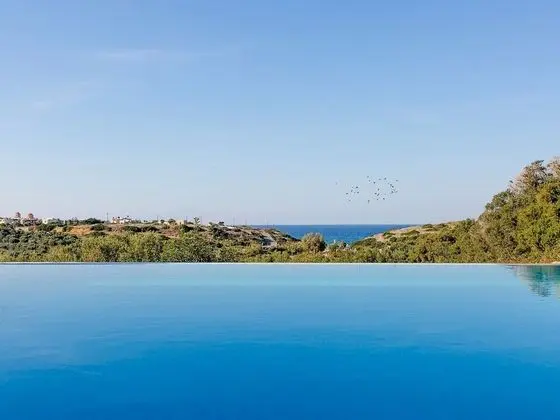 Beautiful Luxe Villa in Private Olive Grove, sea and Mountain View, Close to sea - Havuz