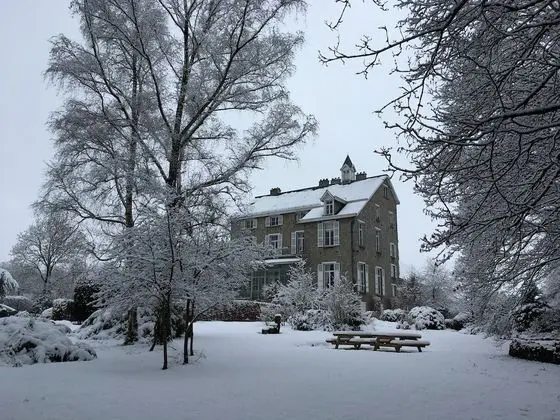 Beautiful Manor House in a Park Near Rochefort and Han-sur-lesse - Dış Mekan