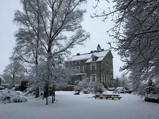 Beautiful Manor House in a Park Near Rochefort and Han-sur-lesse - Dış Mekan