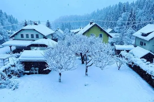 Beautiful Mansion in Kotschach-mauthen With Garden - Dış Mekan