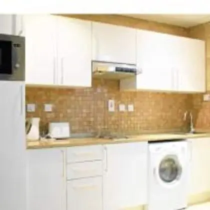 Beautiful One Bedroom Apartment in Tecom - Mutfak