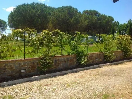 Beautiful private villa for 7 people with WIFI, private pool, TV and parking, close to Montepulc - Dış Mekan