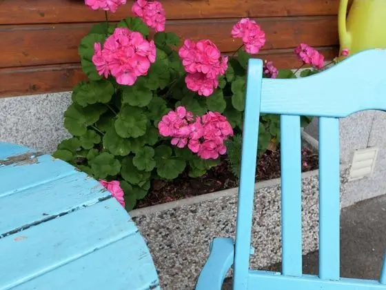 Beautiful Properties Situated Onmountain Rangesof Kppl - Dış Mekan