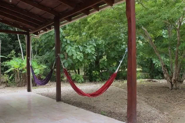 Beautiful Rustic Tree Spirit House in Cabuya - Dış Mekan