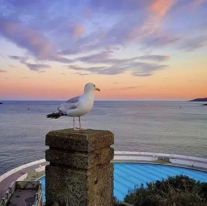 Beautiful Sea Front Cottage in the Ocean City - Plaj