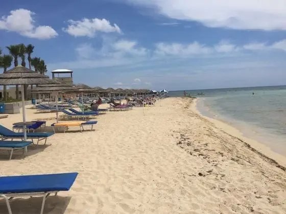 Beautiful Spacious 2-bed Apartment in Xylofagou