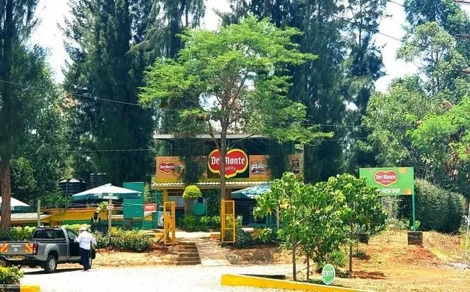 Beautiful and Spacious House in Thika, Kenya - Dış Mekan