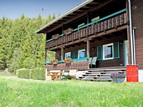 Beautiful and Very Luxurious Chalet in Walking and Skiing Area Innerkrems - Dış Mekan