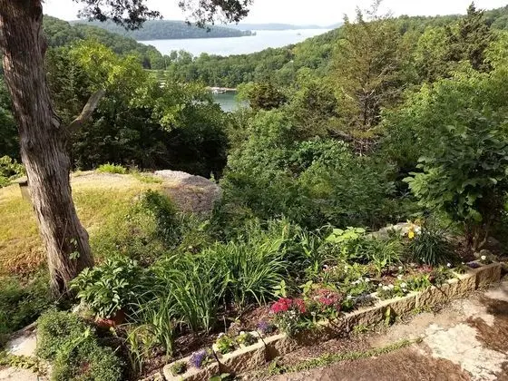 Beaver Lake Heavenly Hideaway B&B - Dış Mekan