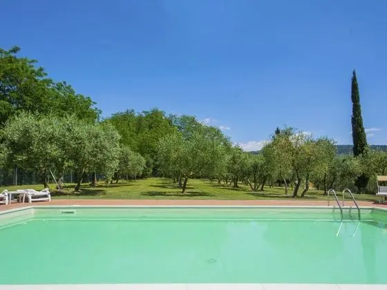 Beboli Lamporecchio in Lamporecchio - Oda